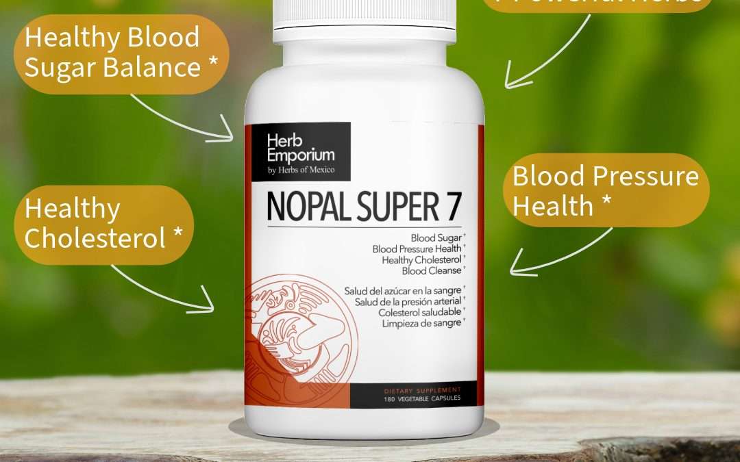 Embrace Holistic Wellness with Nopal Super 7: Nature’s Ultimate Herbal Blend